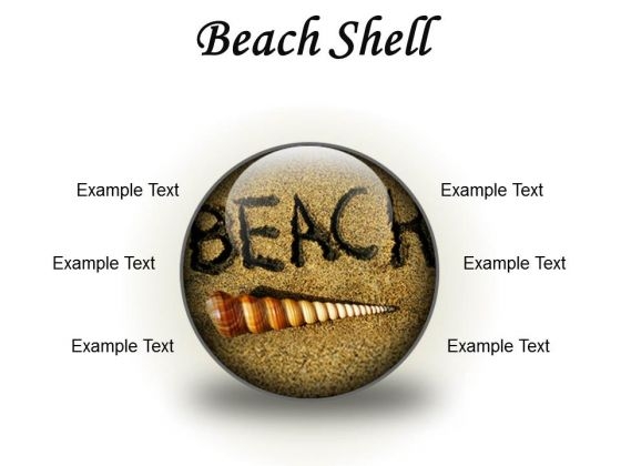 Beach Shell Holidays PowerPoint Presentation Slides C