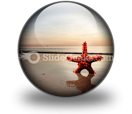 Beach Starfish PowerPoint Icon C