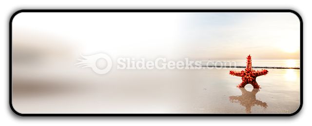 Beach Starfish PowerPoint Icon R
