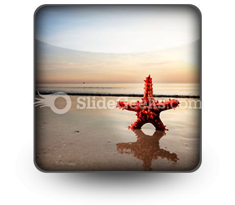 Beach Starfish PowerPoint Icon S