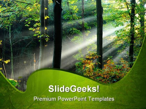 Beams Of Light Through Trees Nature PowerPoint Templates And PowerPoint Backgrounds 0211