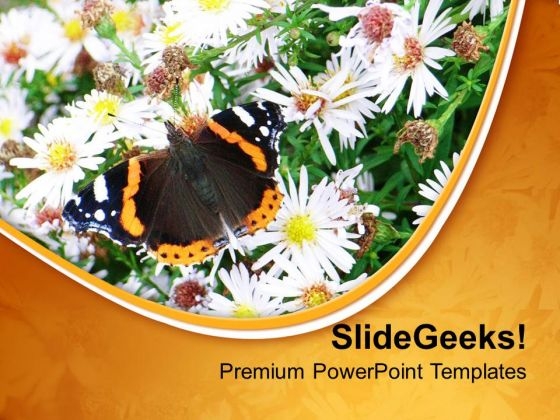 Beautiful Background Garden Theme PowerPoint Templates Ppt Backgrounds For Slides 0413