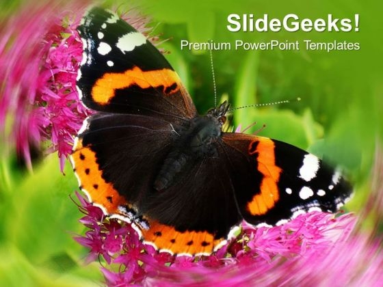 Beautiful Background With Butterfly PowerPoint Templates Ppt Backgrounds For Slides 0413