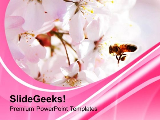 Beautiful Background With Pink Color PowerPoint Templates Ppt Backgrounds For Slides 0613