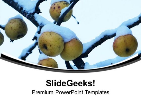 Beautiful Colors And Fruit In Background PowerPoint Templates Ppt Backgrounds For Slides 0413