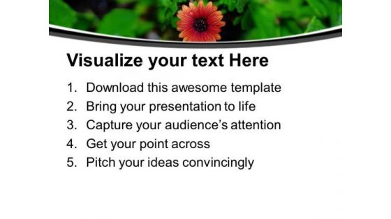 Beautiful Flower For Joy Theme PowerPoint Templates Ppt Backgrounds For Slides 0413