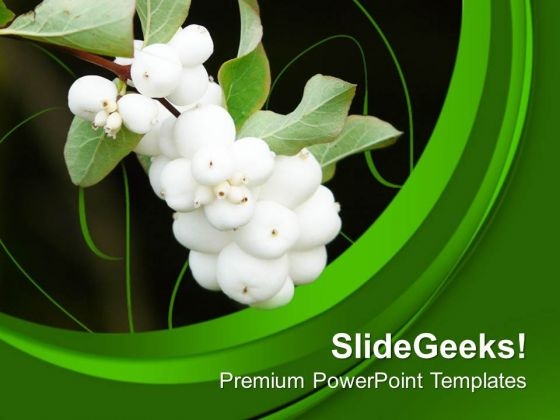 Beautiful Flower With Green Background Theme PowerPoint Templates Ppt Backgrounds For Slides 0713