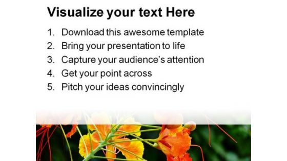 Beautiful Orchid Flower Nature PowerPoint Templates And PowerPoint Backgrounds 0311