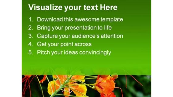 Beautiful Orchid Flower Nature PowerPoint Templates And PowerPoint Backgrounds 0311