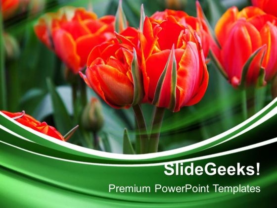 Beautiful Red Flowers Garden PowerPoint Templates And PowerPoint Themes 0512