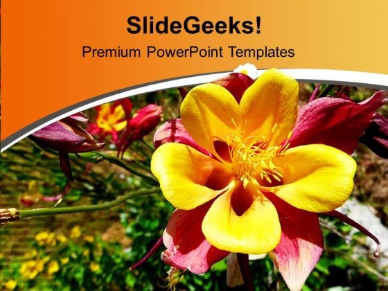 Beautiful Spring Flowers For Joy PowerPoint Templates Ppt Backgrounds For Slides 0613