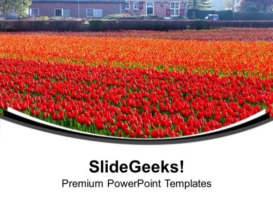 Beautiful Tulips Garden Decoration PowerPoint Templates Ppt Backgrounds For Slides 0313