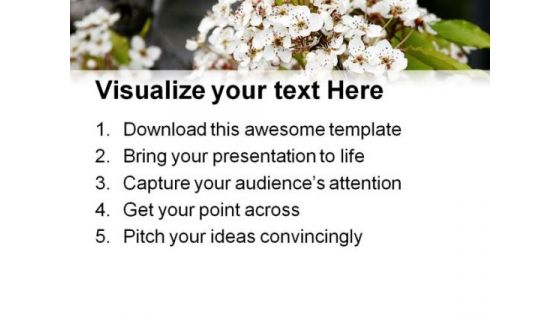 Beautiful White Flowers Nature PowerPoint Templates And PowerPoint Backgrounds 0311