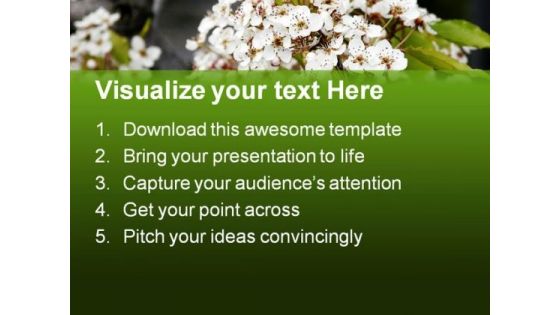 Beautiful White Flowers Nature PowerPoint Templates And PowerPoint Backgrounds 0311