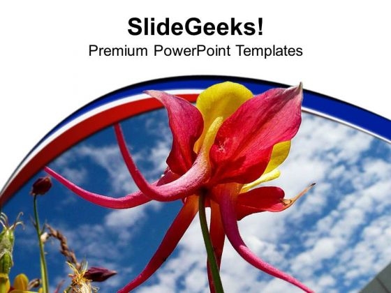 Beauty Of Nature Floral Abstract PowerPoint Templates Ppt Backgrounds For Slides 0513