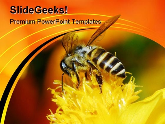 Bee And Flowers Nature PowerPoint Themes And PowerPoint Slides 0211