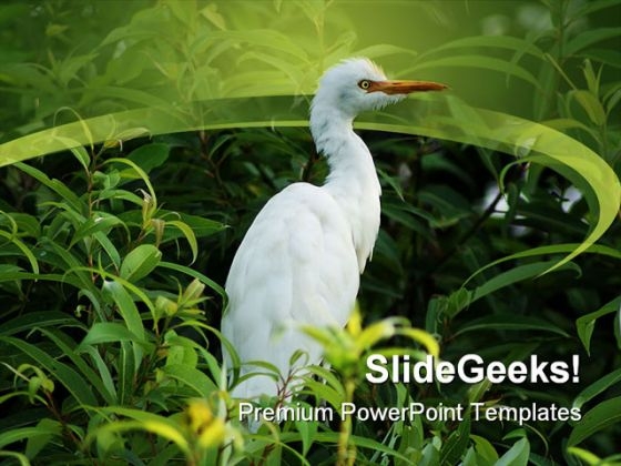 Bird In Tree Animals PowerPoint Themes And PowerPoint Slides 0211