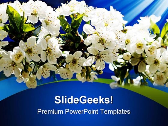 Blooming Flowers Nature PowerPoint Templates And PowerPoint Backgrounds 0311