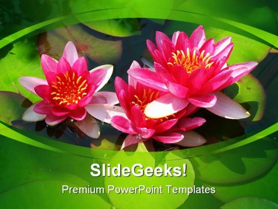 Blooming Lily Nature PowerPoint Templates And PowerPoint Backgrounds 0211