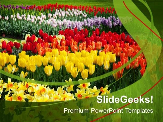 Blooming Spring Flowers Nature PowerPoint Templates Ppt Backgrounds For Slides 0213