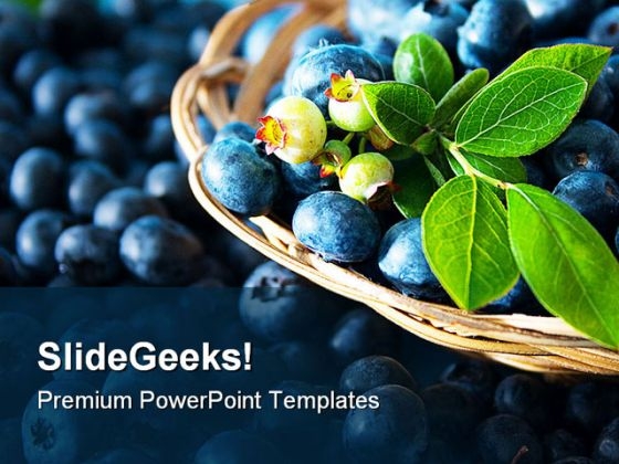 Blue Berries Food PowerPoint Templates And PowerPoint Backgrounds 0211