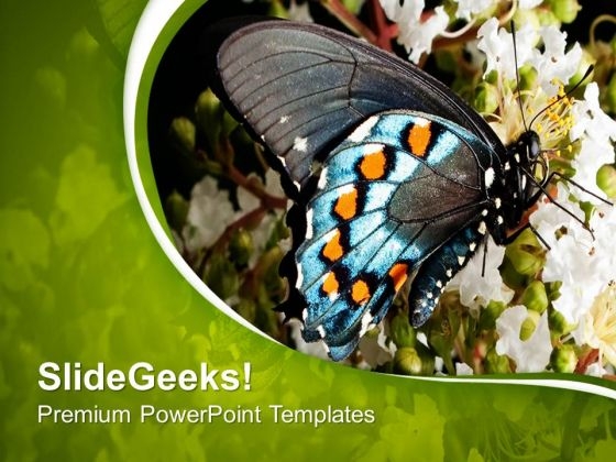 Blue Butterfly With Green Abstract Background PowerPoint Templates Ppt Backgrounds For Slides 0713