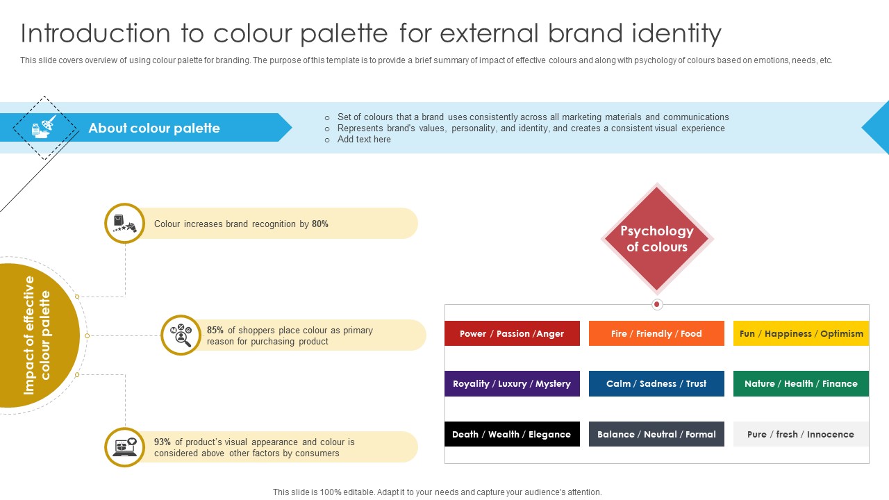 Blueprint For Effective Real Introduction To Colour Palette For External Brand Identity Strategy SS V