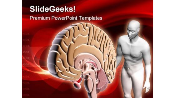 Brain Human People PowerPoint Template 0610