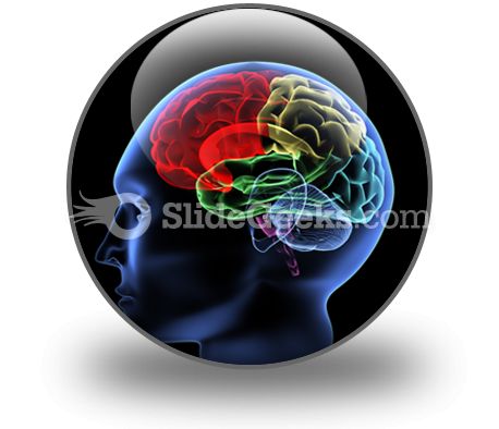 Brain PowerPoint Icon C