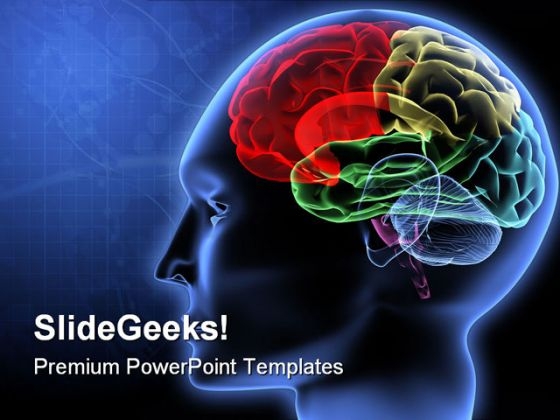 Brain Science PowerPoint Template 0610