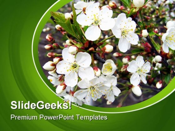 Branch Of A Blossoming Tree Nature PowerPoint Templates And PowerPoint Backgrounds 0311