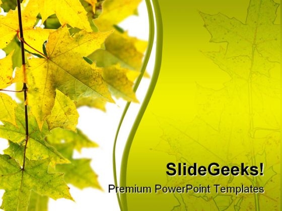 Branch Of Maple Nature PowerPoint Template 1010