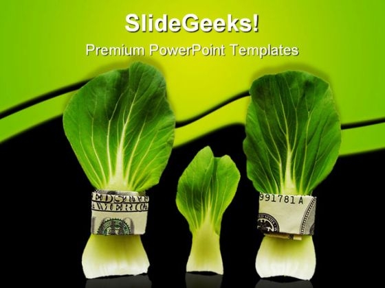 Budget Family Money PowerPoint Templates And PowerPoint Backgrounds 0511