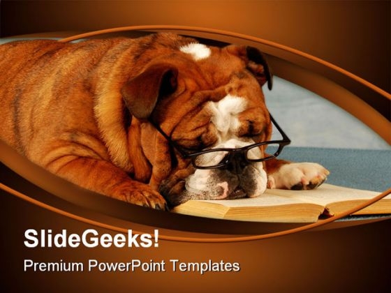 Bulldog Sleeping Animals PowerPoint Templates And PowerPoint Backgrounds 0211