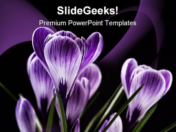 Bunch Of Flowers Beauty PowerPoint Templates And PowerPoint Backgrounds 0211