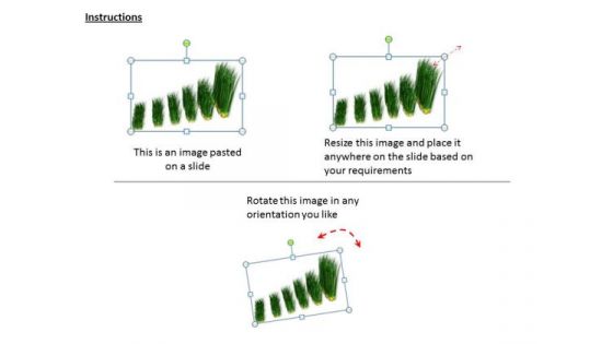 Business And Strategy Display Results With Grass Bar Chart Images