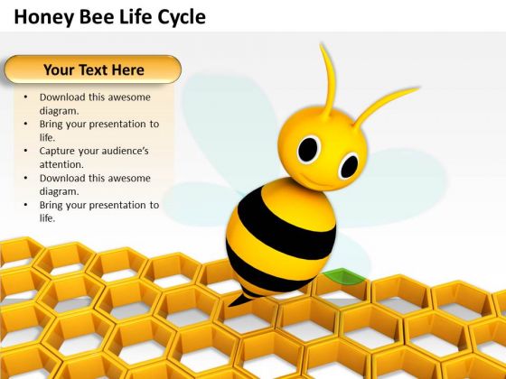 Business Development Strategy Honey Bee Life Cycle Clipart