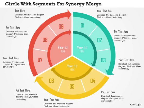 Business Diagram Circle With Segments For Synergy Merger Presentation Template