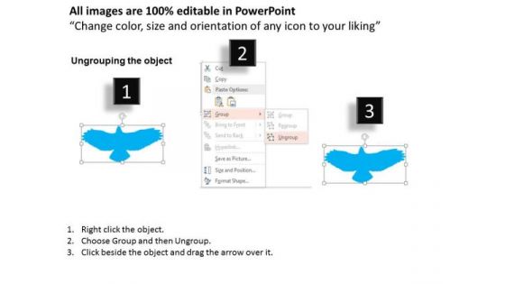 Business Diagram Group Of Flying Birds For Teamwork And Leadership Presentation Template