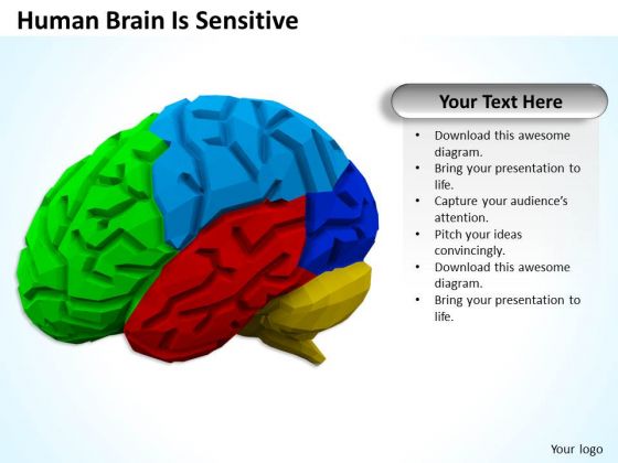 Business Expansion Strategy Human Brain Is Sensitive Pictures