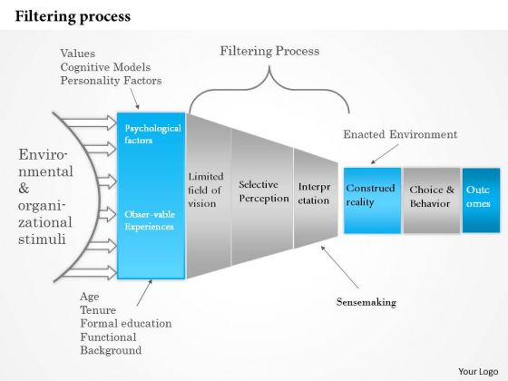 Business Framework Filtering Process PowerPoint Presentation