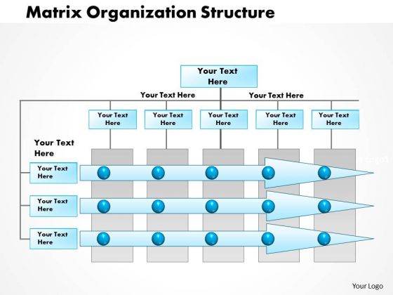 Business Framework Matrix Organization Project Management PowerPoint Presentation