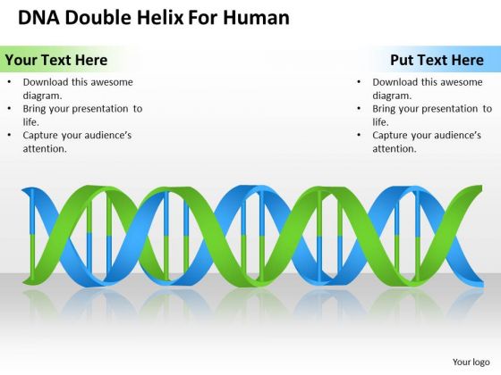Business PowerPoint Template Dna Double Helix For Human Ppt Templates