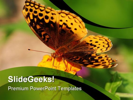 Butterfly And Sunflower Animals PowerPoint Themes And PowerPoint Slides 0211