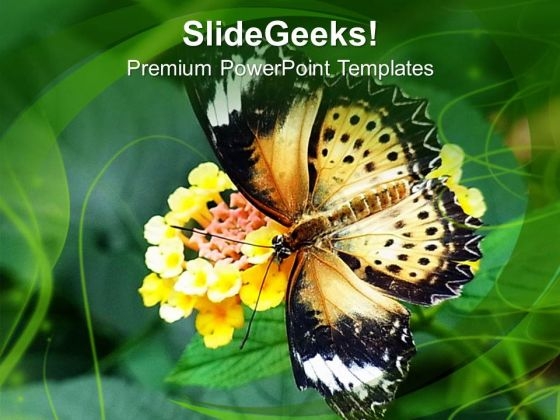 Butterfly On Flower Background Nature Theme PowerPoint Templates Ppt Backgrounds For Slides 0613