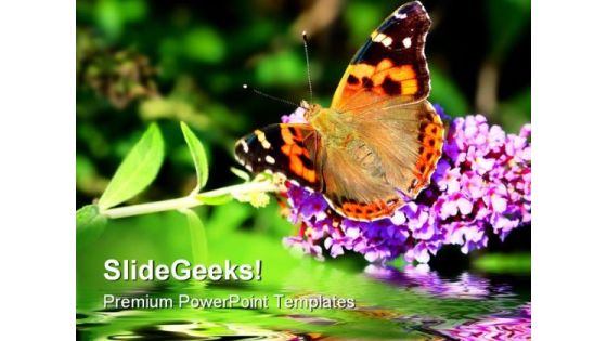 Butterfly On Flower Beauty PowerPoint Themes And PowerPoint Slides 0211
