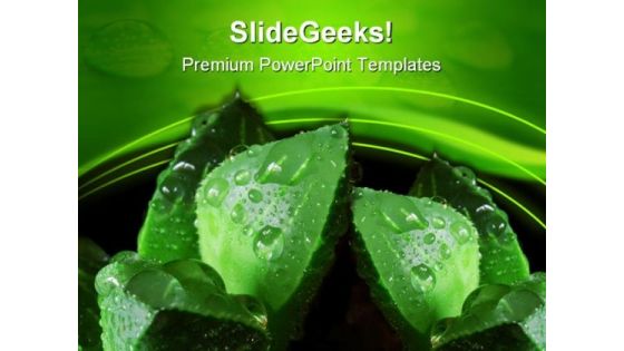 Cactus And Water Drops Nature PowerPoint Themes And PowerPoint Slides 0611
