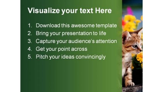 Cat Animal PowerPoint Template 0810