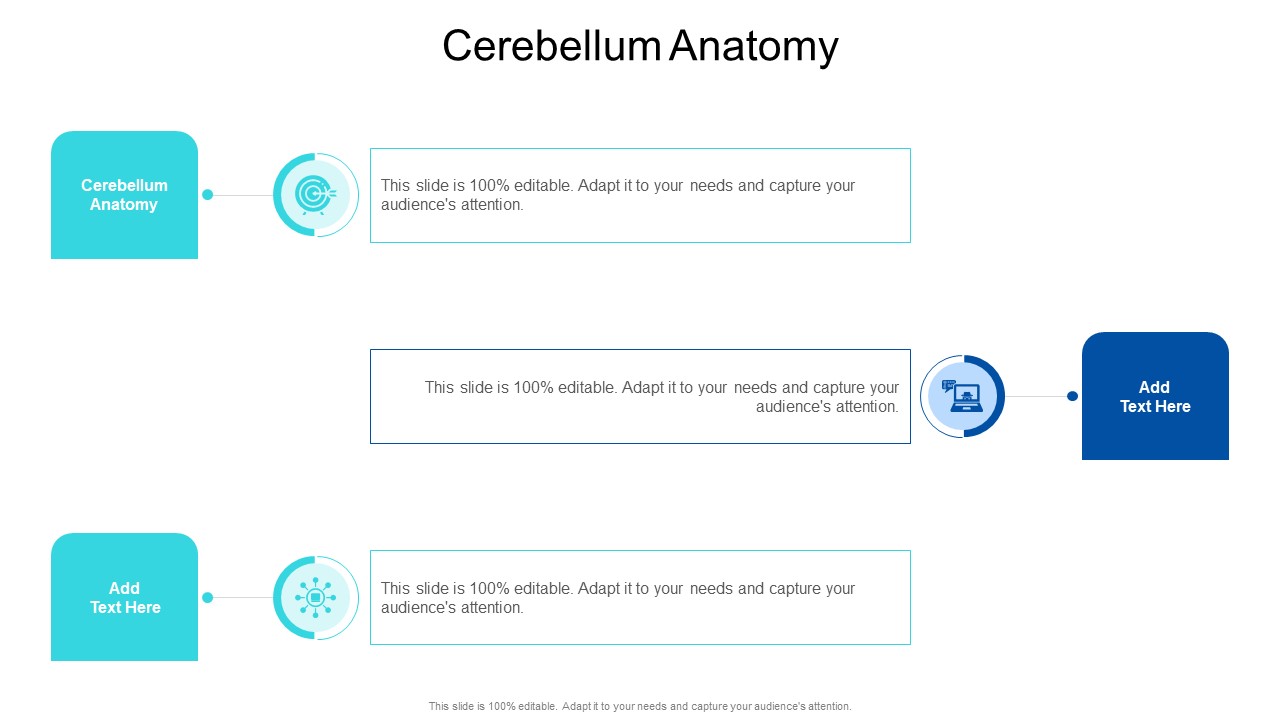 Cerebellum Anatomy In Powerpoint And Google Slides Cpb