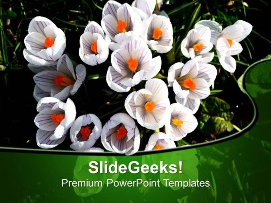 Cherry Flowers Beauty Of Environment PowerPoint Templates Ppt Backgrounds For Slides 0513